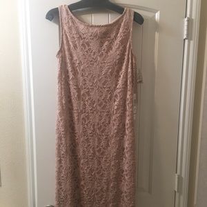 Blush Pink Lace Dress NWT